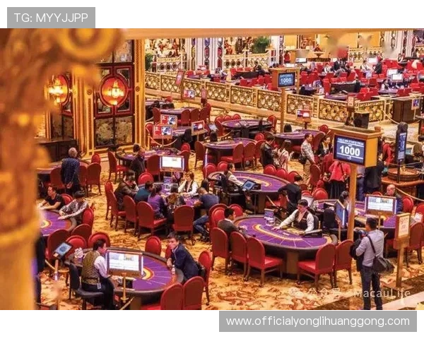 澳门有名气赌场的安全保障措施与合法经营信息全面解析